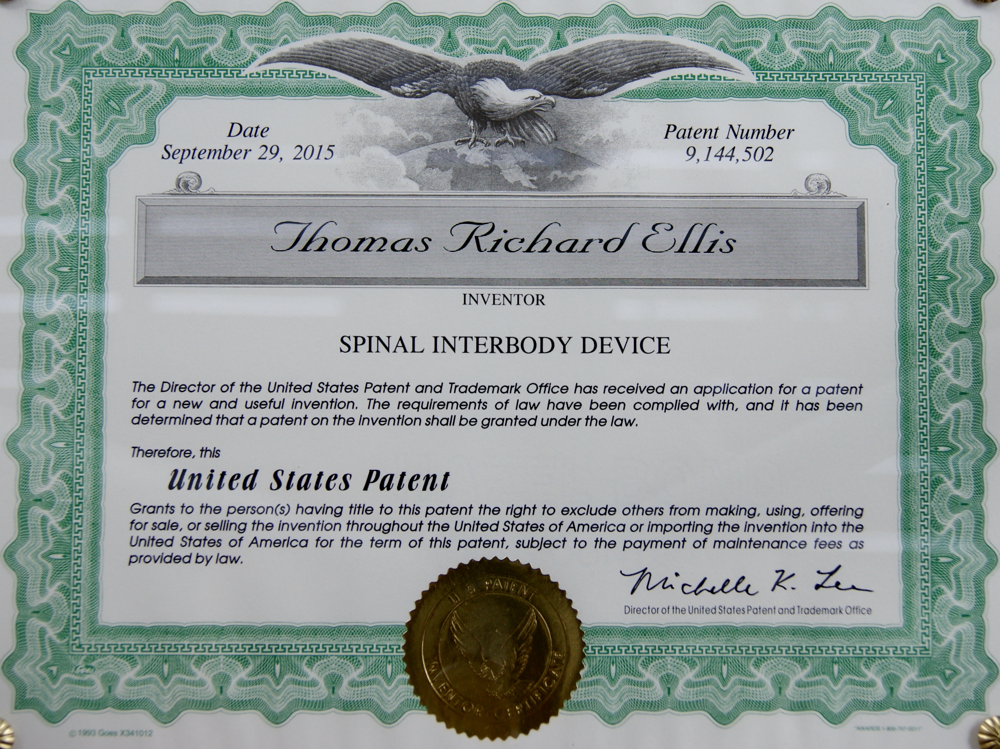 Spinal disk nucleas device